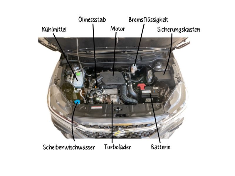 Bild motorraum.800x600.jpg