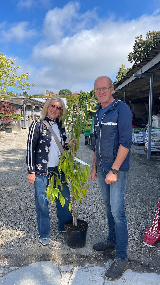 BAUMPFLANZ CHALLENGE bei Firma Loitz🚗 Danke an @stoabach.fam...